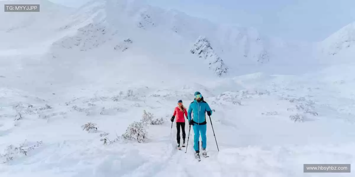 热血赛事，一触即发！⚽